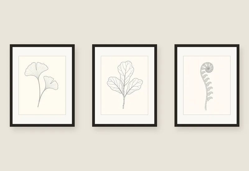 Gallery Wall Starter Kit: three framed botanical line-art prints on a wall